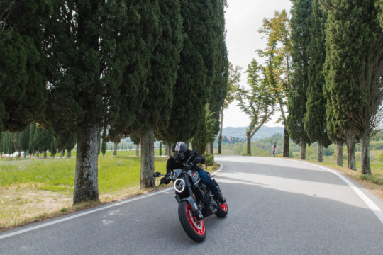 Ducati Monster